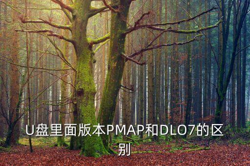 U盤里面版本PMAP和DLO7的區(qū)別