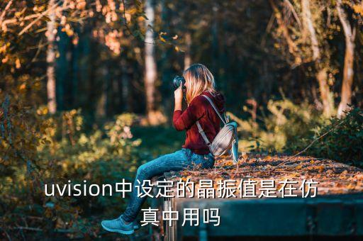 uvision中設(shè)定的晶振值是在仿真中用嗎
