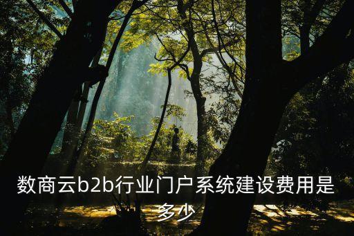 數(shù)商云，數(shù)商云開發(fā)網(wǎng)上訂貨系統(tǒng)需要多少錢