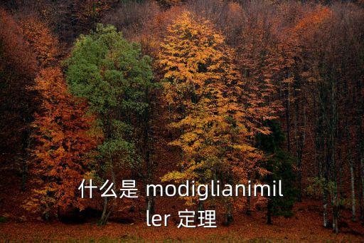 什么是 modiglianimiller 定理