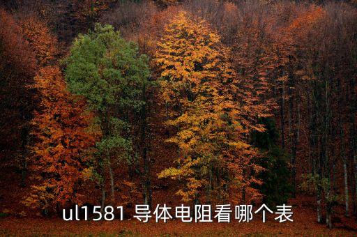 ul1581，ul1581 導(dǎo)體電阻看哪個(gè)表