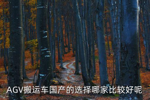 AGV搬運車國產(chǎn)的選擇哪家比較好呢