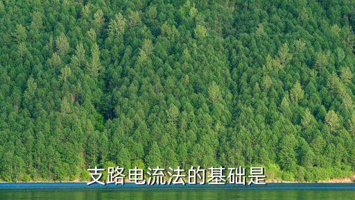 支路電流法，什么是支路電流法