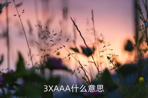 3XAAA什么意思