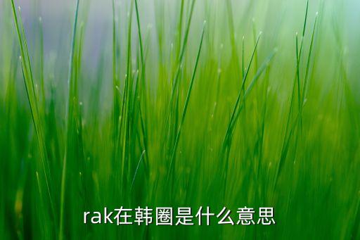 rak在韓圈是什么意思