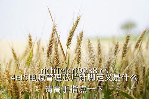 richTek rt9238 cs4et5電源管理芯片針腳定義是什么請高手指點一下