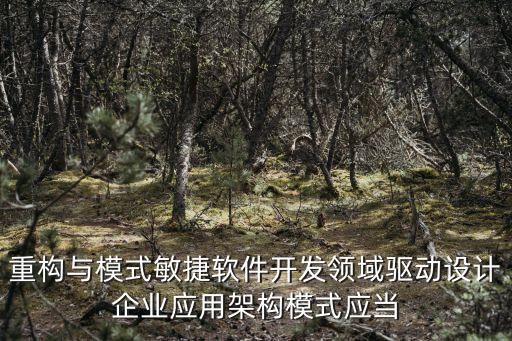 重構與模式敏捷軟件開發(fā)領域驅動設計企業(yè)應用架構模式應當