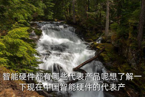 智能硬件都有哪些代表產(chǎn)品呢想了解一下現(xiàn)在中國(guó)智能硬件的代表產(chǎn)