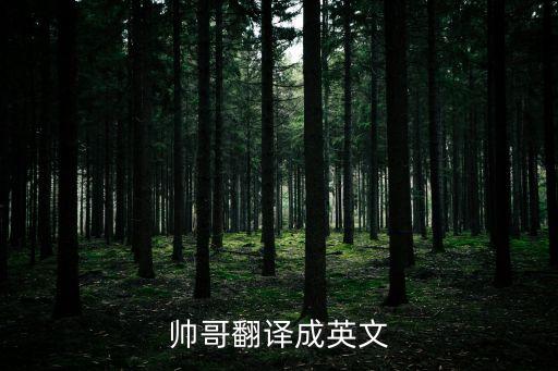 帥哥翻譯成英文
