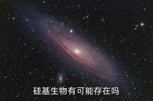 硅基生物有可能存在嗎