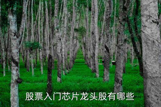半導(dǎo)體龍頭股票，芯片概念股票龍頭股有哪些 芯片上市公