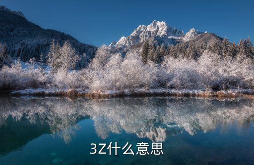 3Z什么意思