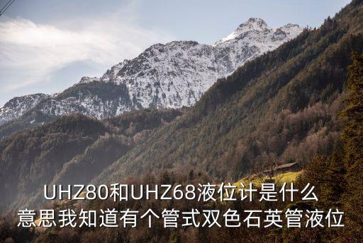 石英管液位計(jì)，UGSS什么意思