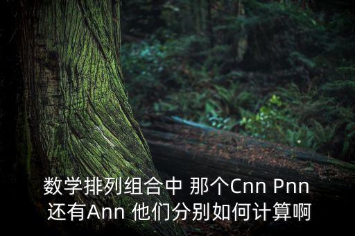 數(shù)學(xué)排列組合中 那個Cnn Pnn 還有Ann 他們分別如何計算啊