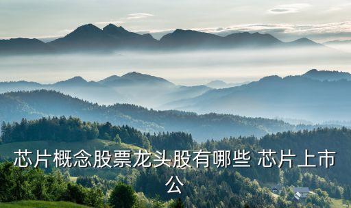芯片概念股票龍頭股有哪些 芯片上市公