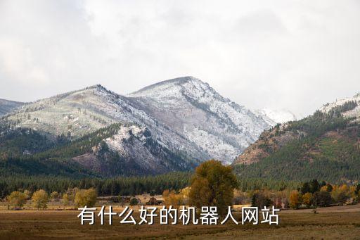 有什么好的機(jī)器人網(wǎng)站