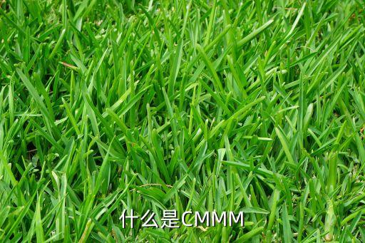 cmmm，CMMM和CMWAP有什么不同