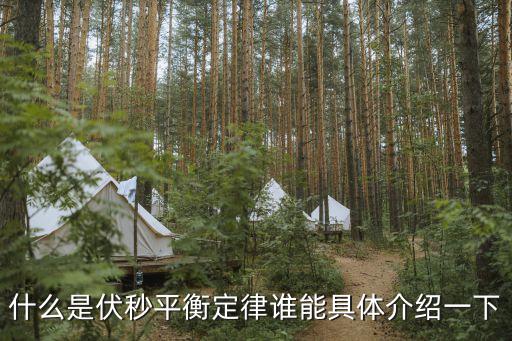 什么是伏秒平衡定律誰能具體介紹一下