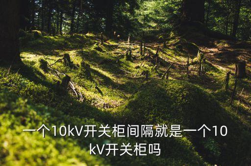 一個(gè)10kV開(kāi)關(guān)柜間隔就是一個(gè)10kV開(kāi)關(guān)柜嗎
