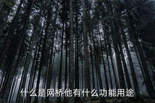 網(wǎng)橋，什么是網(wǎng)橋