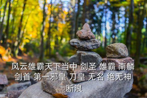 風(fēng)云雄霸天下當(dāng)中 劍圣 雄霸 南麟劍首 第一邪皇 刀皇 無(wú)名 絕無(wú)神 斷浪