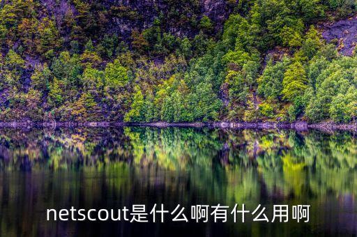 netscout是什么啊有什么用啊