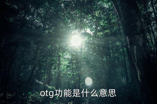 手機(jī)otg是什么，手機(jī)中OTG連接是什么意思