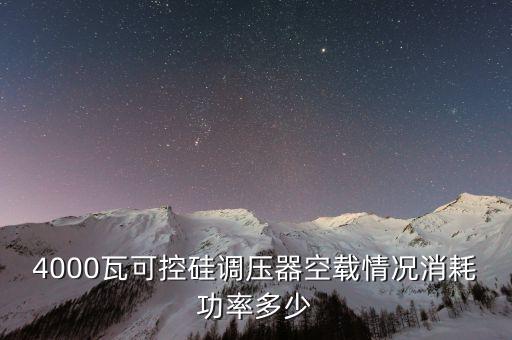 4000瓦可控硅調(diào)壓器空載情況消耗功率多少