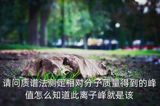 請問質(zhì)譜法測定相對分子質(zhì)量得到的峰值怎么知道此離子峰就是該