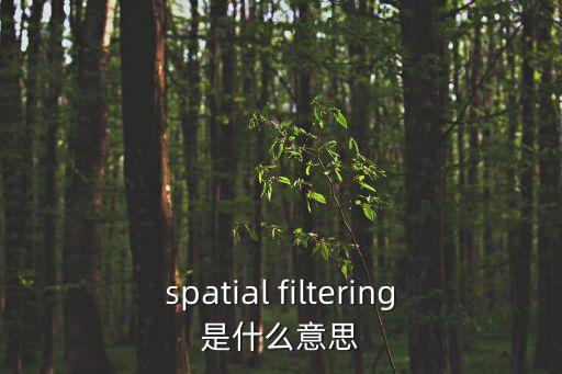 spatial filtering是什么意思