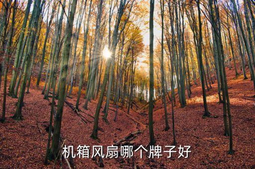 機(jī)箱風(fēng)扇哪個(gè)牌子好