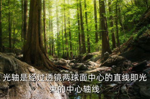 光軸是經(jīng)過透鏡兩球面中心的直線即光束的中心軸線