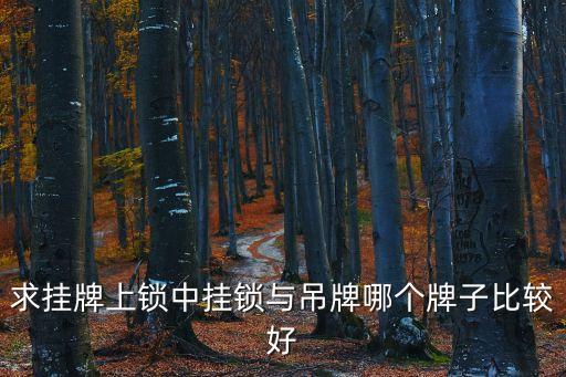 掛牌上鎖，求掛牌上鎖中掛鎖與吊牌哪個(gè)牌子比較好
