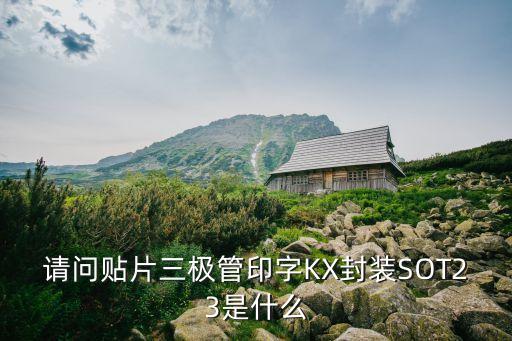 sot23，SOT23的23是什么意思代表什么詳細點謝謝