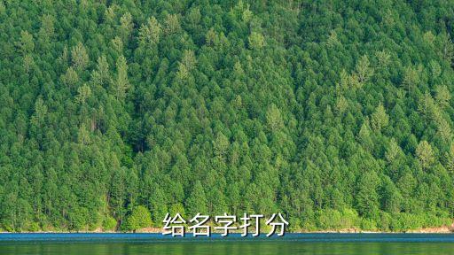 給名字打分