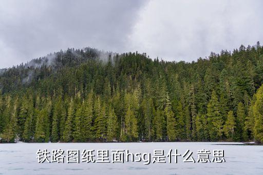 hjg，藥片上有HJG是什么藥