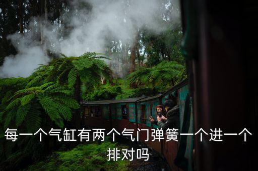 每一個氣缸有兩個氣門彈簧一個進一個排對嗎