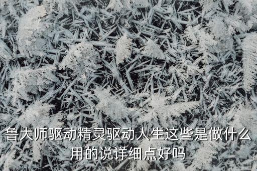 魯大師驅(qū)動精靈驅(qū)動人生這些是做什么用的說詳細(xì)點(diǎn)好嗎