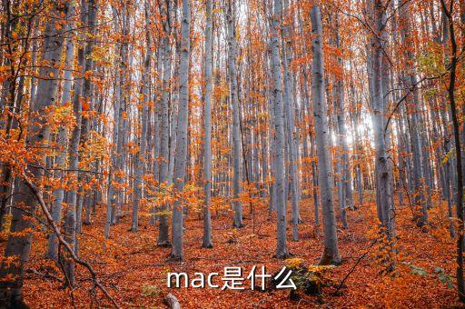mac是什么