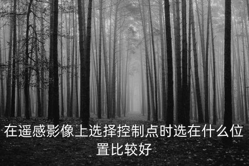 在遙感影像上選擇控制點時選在什么位置比較好