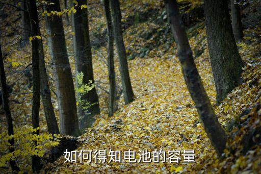 如何得知電池的容量