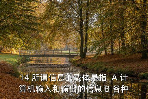 信息的載體是什么，14 所謂信息的載體是指  A 計算機(jī)輸入和輸出的信息 B 各種