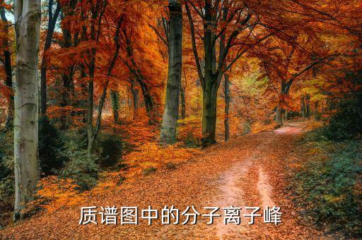 分子離子峰，質(zhì)譜圖中的分子離子峰