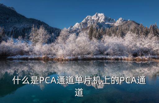 什么是PCA通道單片機上的PCA通道