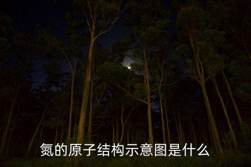 氮原子結(jié)構(gòu)示意圖，氮的原子結(jié)構(gòu)示意圖如下圖 1氮原子核內(nèi)質(zhì)子數(shù)為 最外層