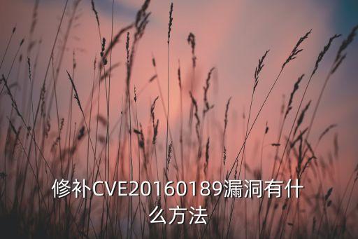 修補(bǔ)CVE20160189漏洞有什么方法