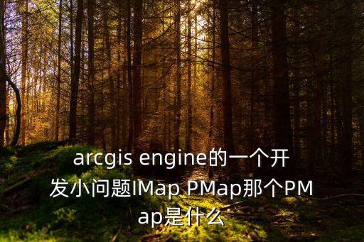 arcgis engine的一個開發(fā)小問題IMap PMap那個PMap是什么