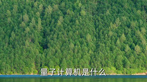 量子計(jì)算機(jī)是什么