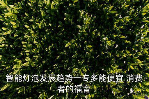 智能燈泡發(fā)展趨勢一專多能便宜 消費者的福音
