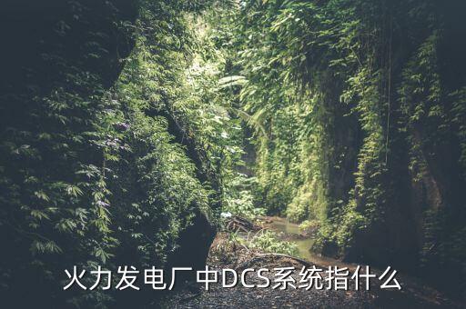 dcs是什么，什么是集散控制DCS系統(tǒng)